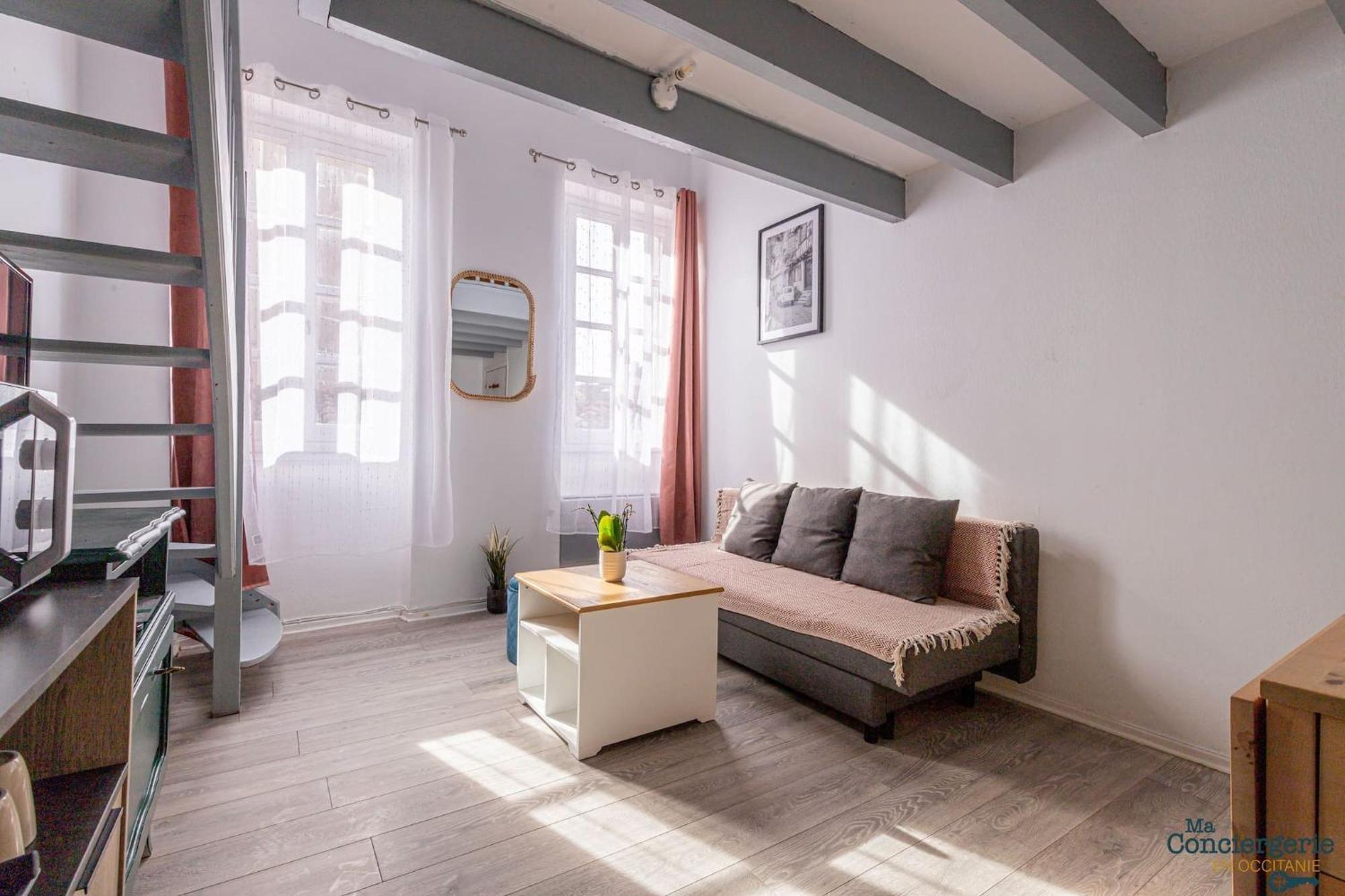 Duplex Champetre : Gare, Marche, Hypercentre Leilighet Toulouse Eksteriør bilde