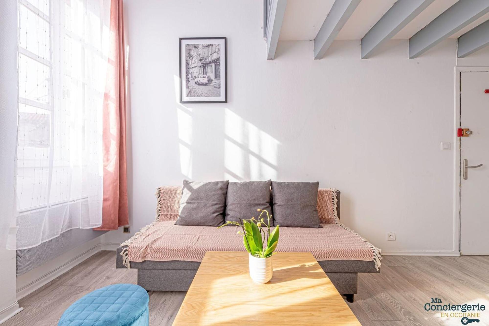 Duplex Champetre : Gare, Marche, Hypercentre Leilighet Toulouse Eksteriør bilde